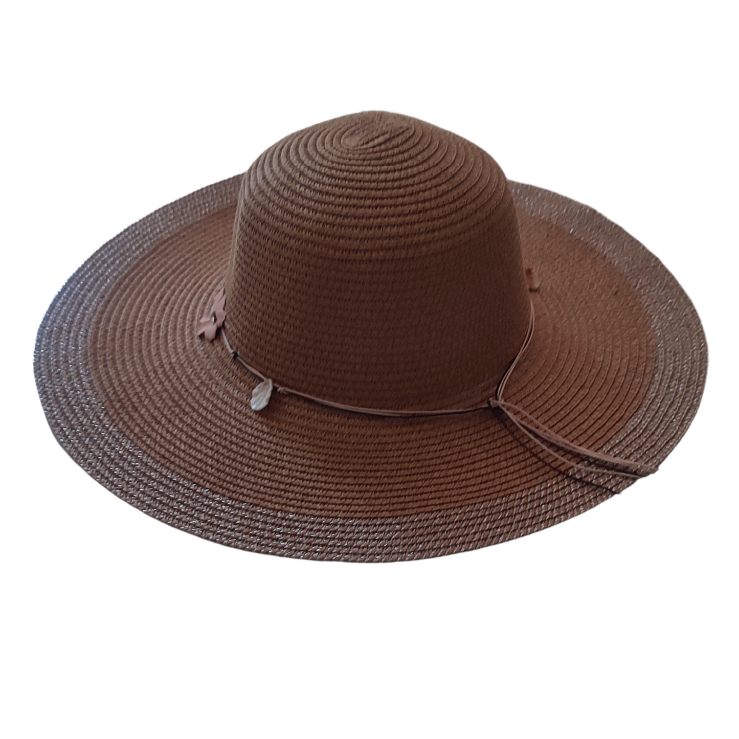 PAVA DE PLAYA