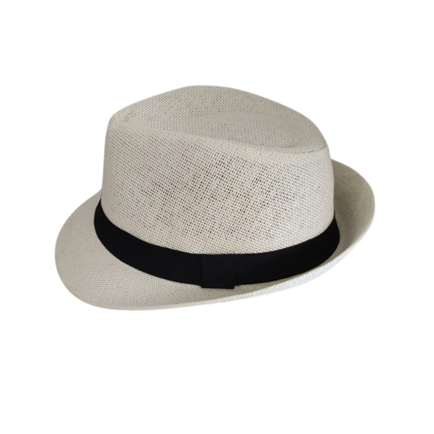 SOMBRERO BEIGE Y NEGRO